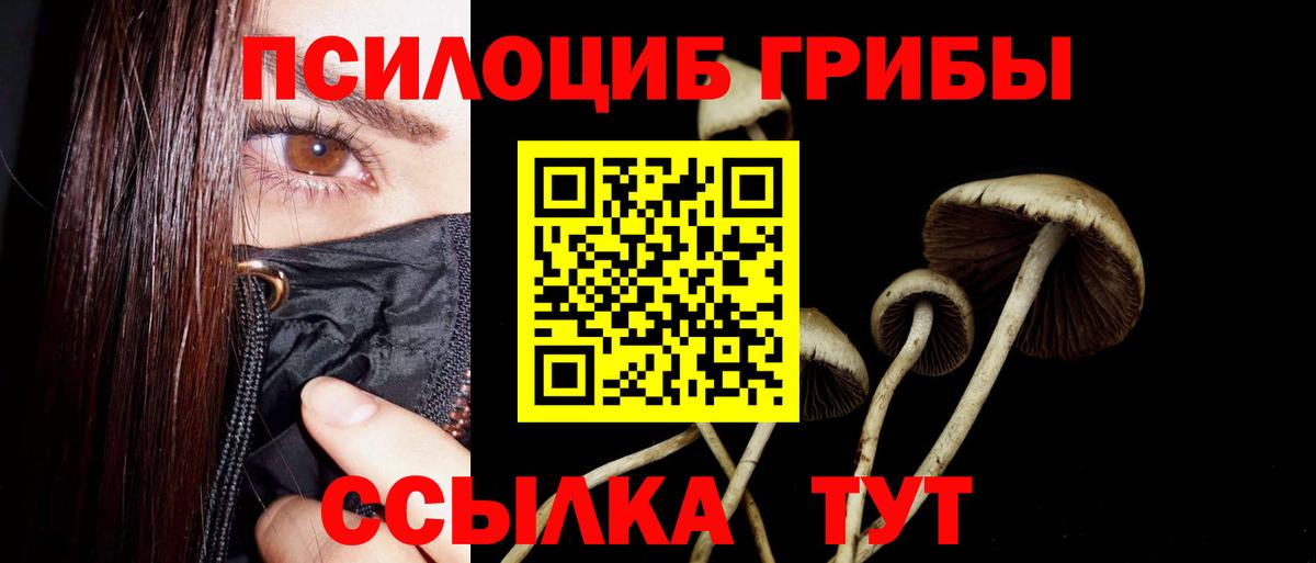 Псилоцибиновые грибы Psilocybine cubensis  Псилоцибиновые грибы Psilocybine cubensis  Вход с VPN  Советский 